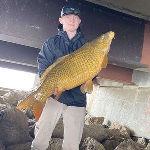 Meet your Posher, Russell